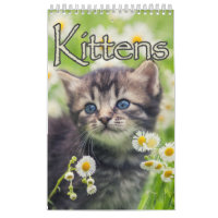 Chatons adorables & Chatons Coeur Chants Grande Mu