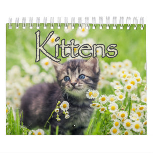 Calendrier Chatons adorables & Chatons de coeur Chat Mur