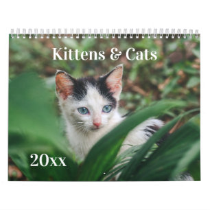 Calendrier Chatons & Chats