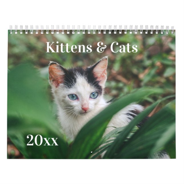 Calendrier Chatons & Chats (Protection)