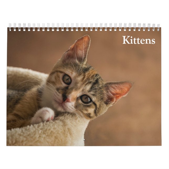 Calendrier Chatons Mignons 2027 (Protection)