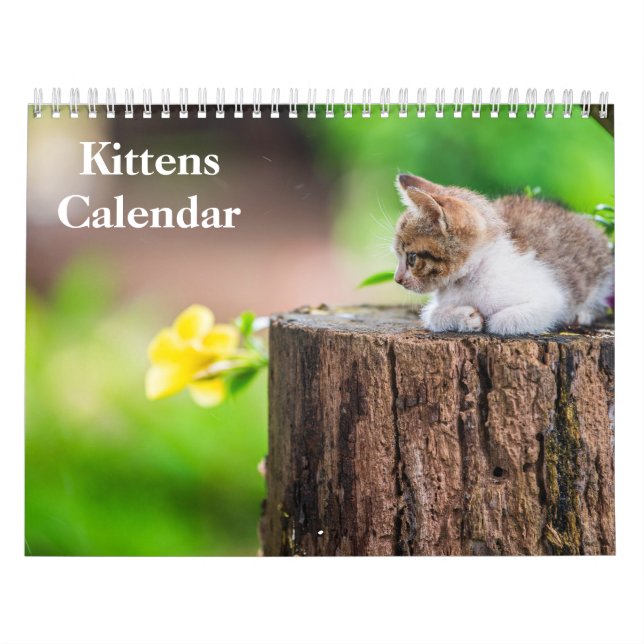 Calendrier Chatons Mignons 2027 Tigre du Bengale (Protection)