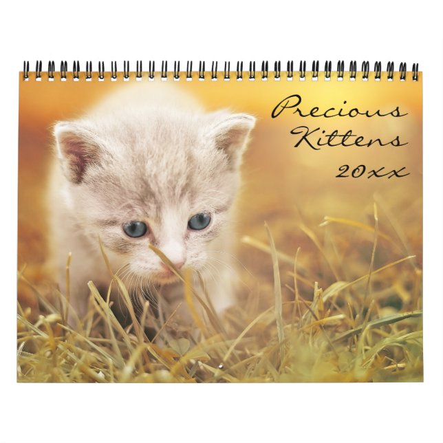 Calendrier Chatons précieux (Protection)