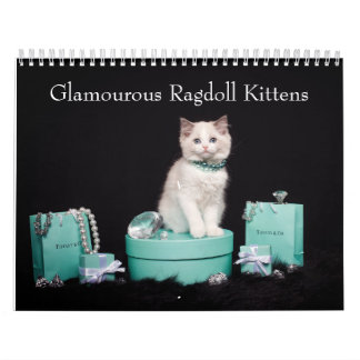Calendrier Chatons Ragdoll Glamour