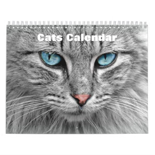 Calendrier Chats 2025
