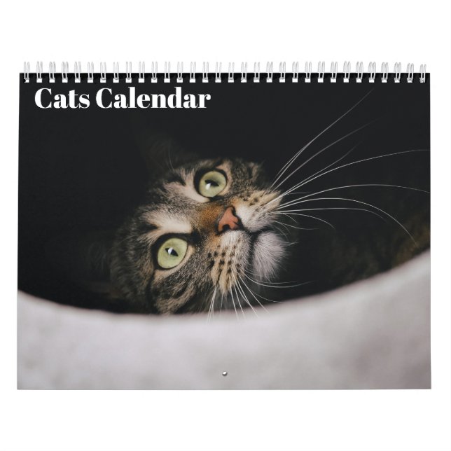 Calendrier Chats 2026 (Protection)