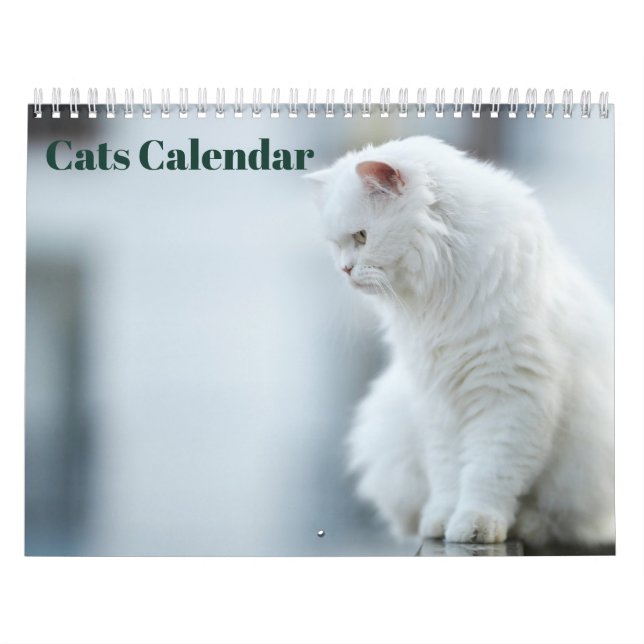 Calendrier Chats 2027 (Protection)