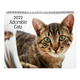 Calendrier Chats Adorables 2022