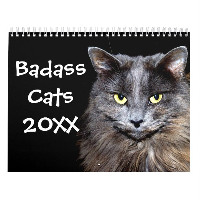 Calendrier Chats amusants avec Catitude (Protection)
