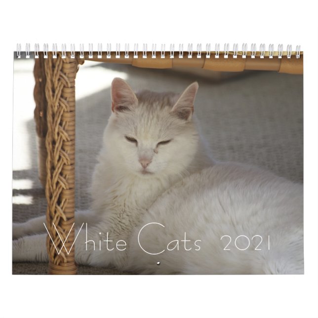 Calendrier Chats blancs 2021 (Protection)