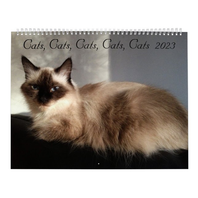 Calendrier Chats, Chats, Chats, Chats, Chats, Chats Calendrie (Protection)