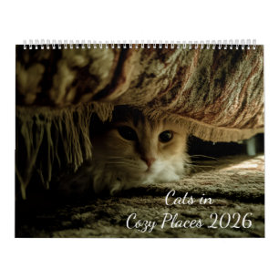 Calendrier Chats dans des endroits confortables 2026