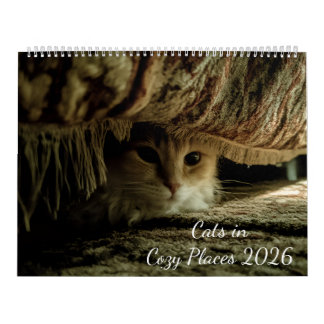 Calendrier Chats dans des endroits confortables 2026