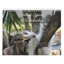 Chats de Chypre par PaphosLife Calendar