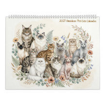 Chats de compagnie américains - 2 pages 2027