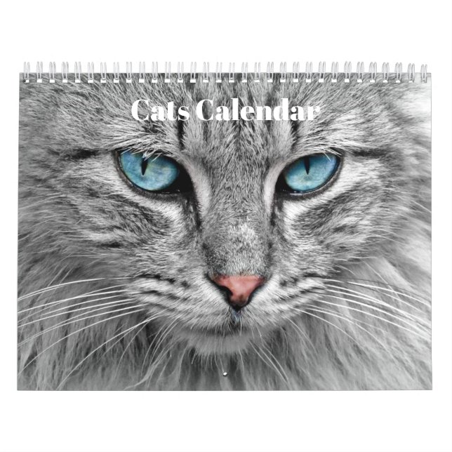 Calendrier Chats du Bengale 2027 (Protection)