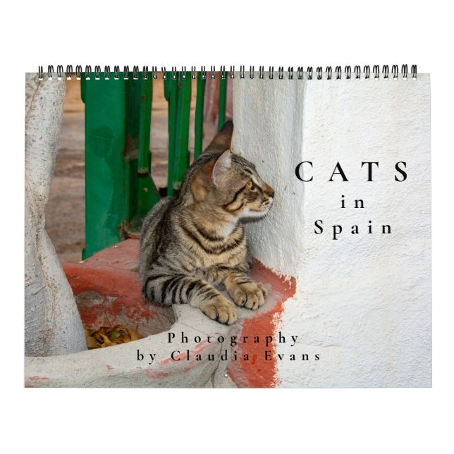Calendrier Chats en Espagne (Protection)