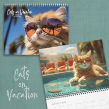 Chats en vacances