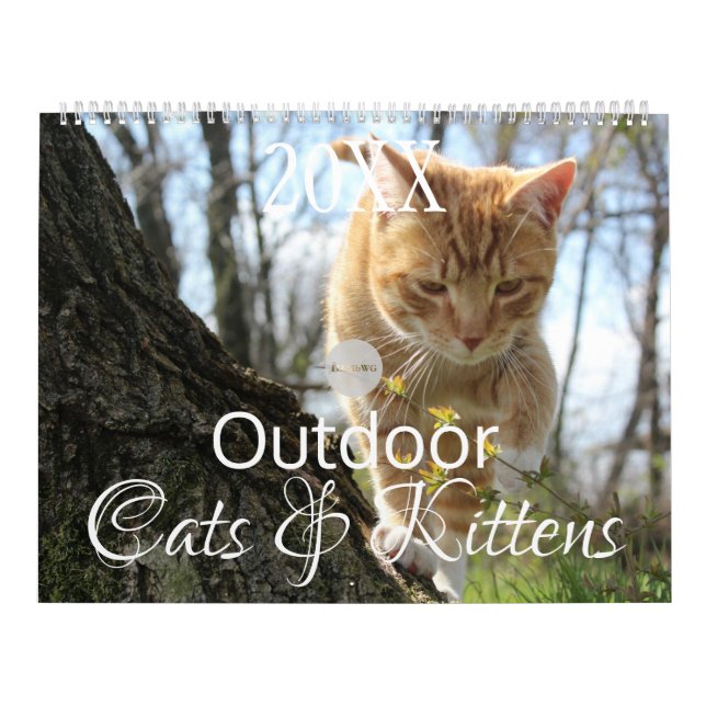 Calendrier Chats et chatons en plein air HAMbWG (Protection)