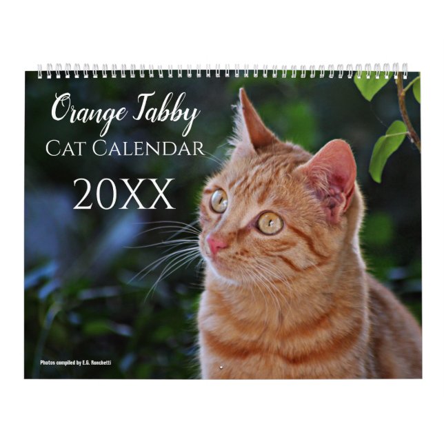 Calendrier Chats et chatons orange tabby mignons 2027  (Protection)