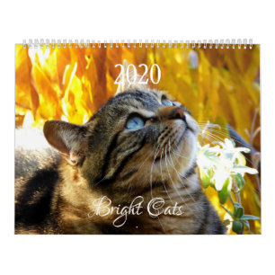 Calendrier Chats Lumineux HAMbWG
