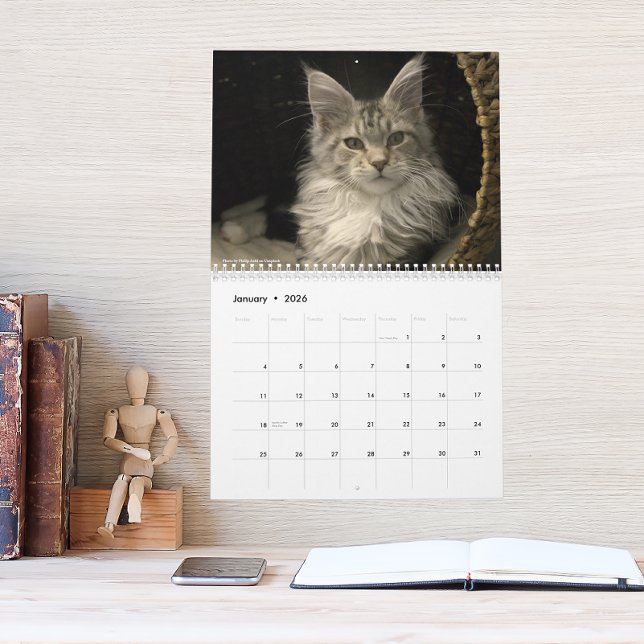 Calendrier Chats Maine Coon | Vie de Main Coon (Créateur téléchargé)