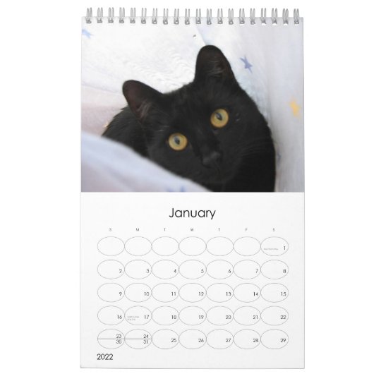 Calendrier Chats Noirs Zazzle Fr