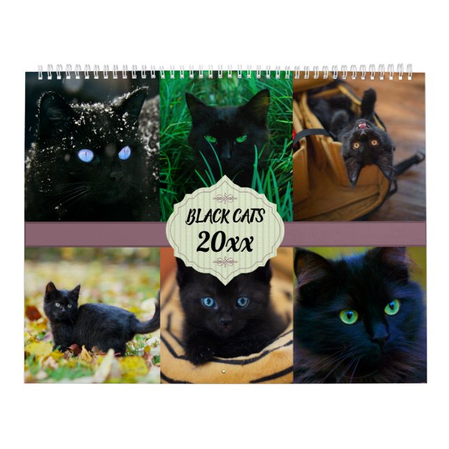 Calendrier Chats noirs (Protection)