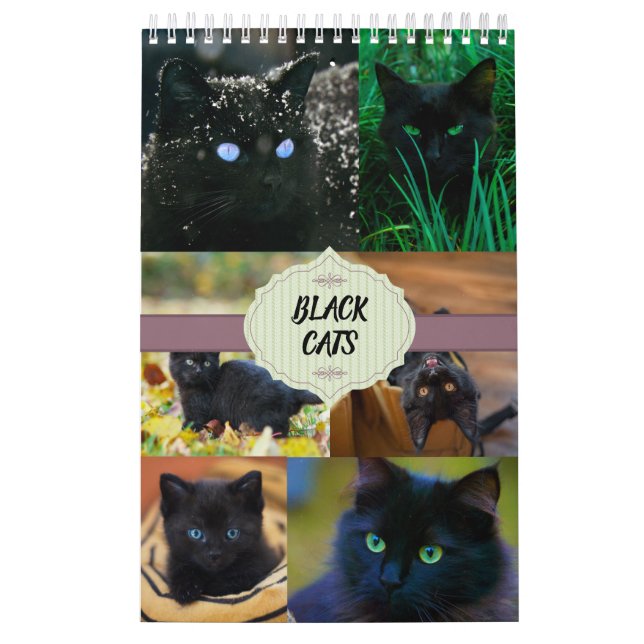 Calendrier Chats noirs une page (Protection)