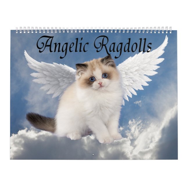 Calendrier Chats Ragdoll Angéliques (Protection)