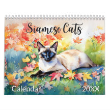 Chats siamois magnifiques amateur d'animaux aquare