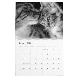 Calendrier Chats tirés à la main Felines sauvages et domestiq