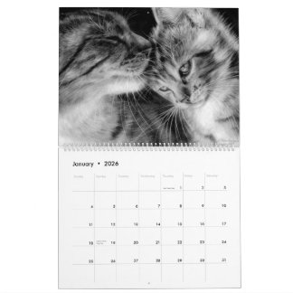 Calendrier Chats tirés à la main Felines sauvages et domestiq