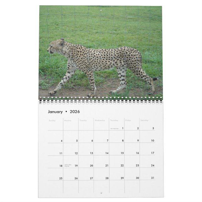 Calendrier Cheetah 2014 (Jan 2026)