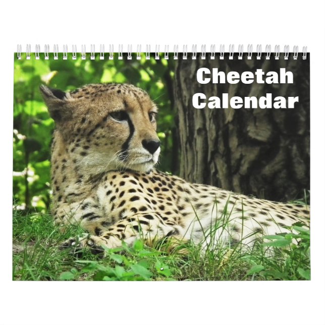 Calendrier Cheetah 2025 (Protection)