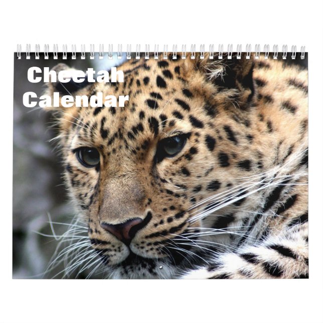 Calendrier Cheetah 2025 (Protection)