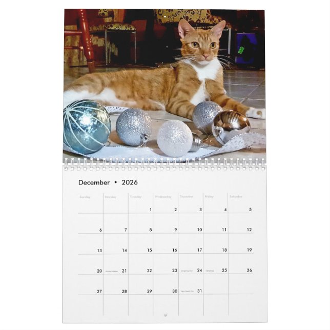 Calendrier Cheeto Dacutecat 2020 (Dec 2026)