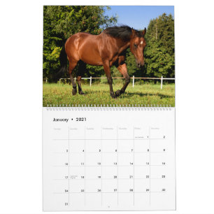 Calendrier Cheval