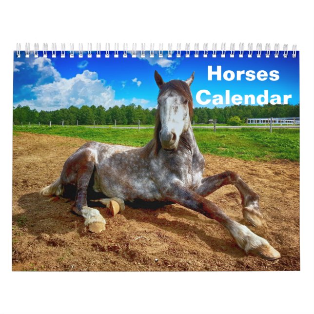 Calendrier Cheval 2025 (Protection)