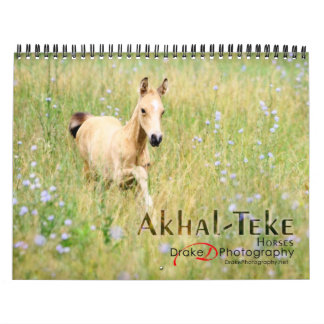 Calendrier Cheval Akhal-Teke 2