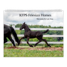 Cheval friésien KFPS