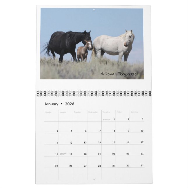 Calendrier Cheval sauvage Calander de lavabo de sable (Jan 2026)