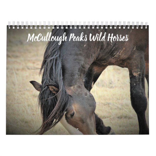 Calendrier Cheval sauvage de McCullough Peaks (Protection)