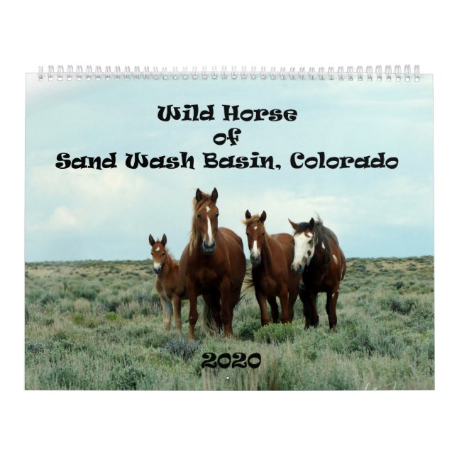 Calendrier Cheval sauvage du bassin de lessive (Protection)