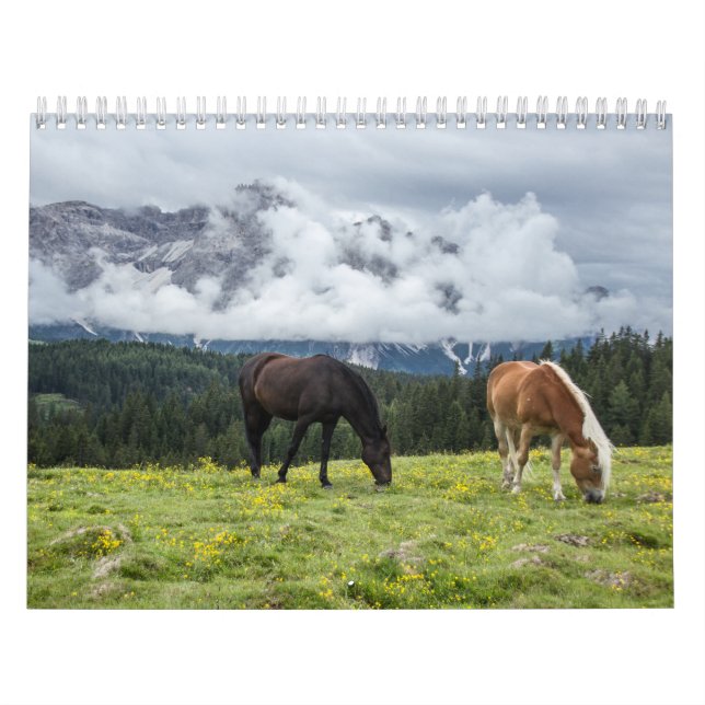 Calendrier Chevaux (Protection)