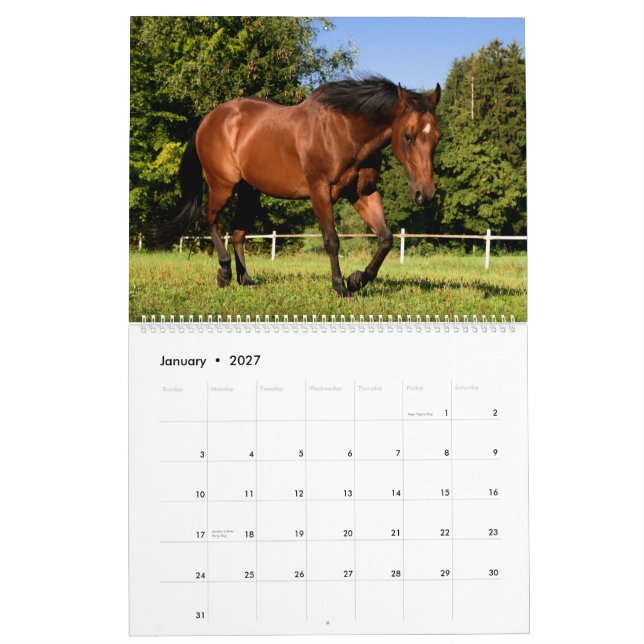 Calendrier Chevaux (Jan 2027)