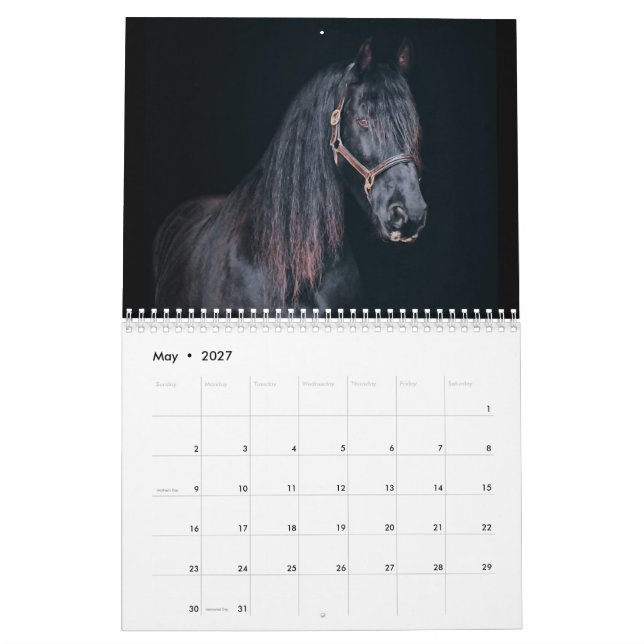 Calendrier Chevaux de ferme Stargazer (Mai 2027)