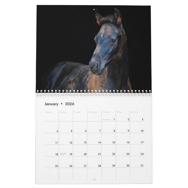 Calendrier Chevaux de ferme Stargazer (Jan 2026)