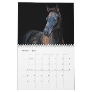 Calendrier Chevaux de ferme Stargazer