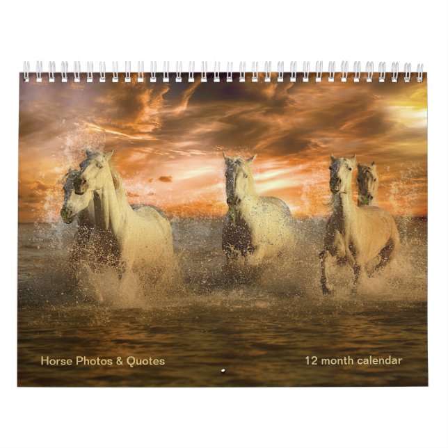 Calendrier Chevaux magnifiques et quotes équins 12 mois (Protection)
